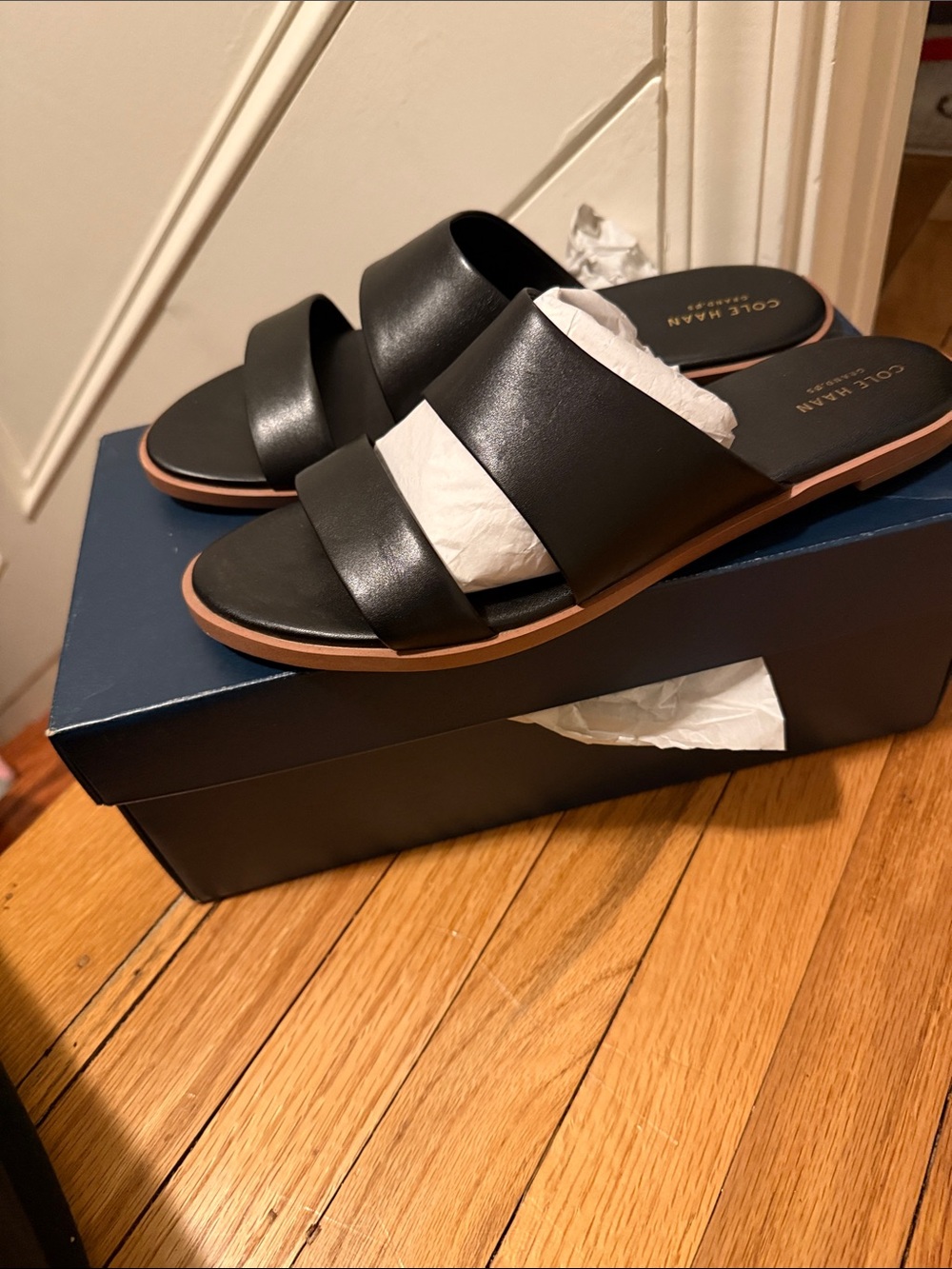Cole Haan Anica, Slide Sandals